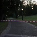 Riccione, chiusi tre parchi la sera e la notte dopo l’avvistamento di un lupo
