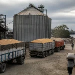 Grano in forte rialzo sui mercati: pesa la paralisi del Mar Nero