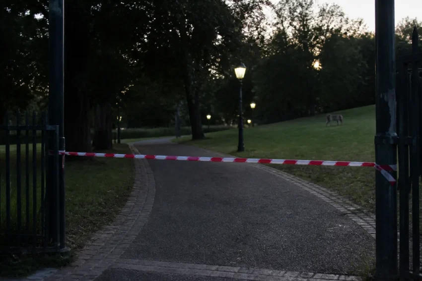 Riccione, chiusi tre parchi la sera e la notte dopo l’avvistamento di un lupo