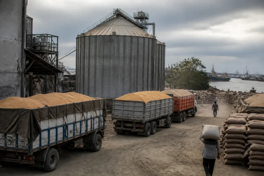Grano in forte rialzo sui mercati: pesa la paralisi del Mar Nero